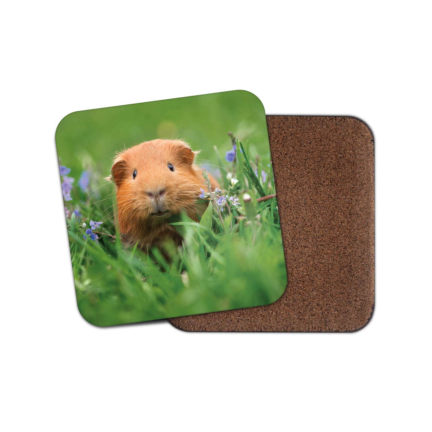 1 x Cute Guinea Pig Drinks Coaster - Ginger Rodent Animal Piglet Fun #8558