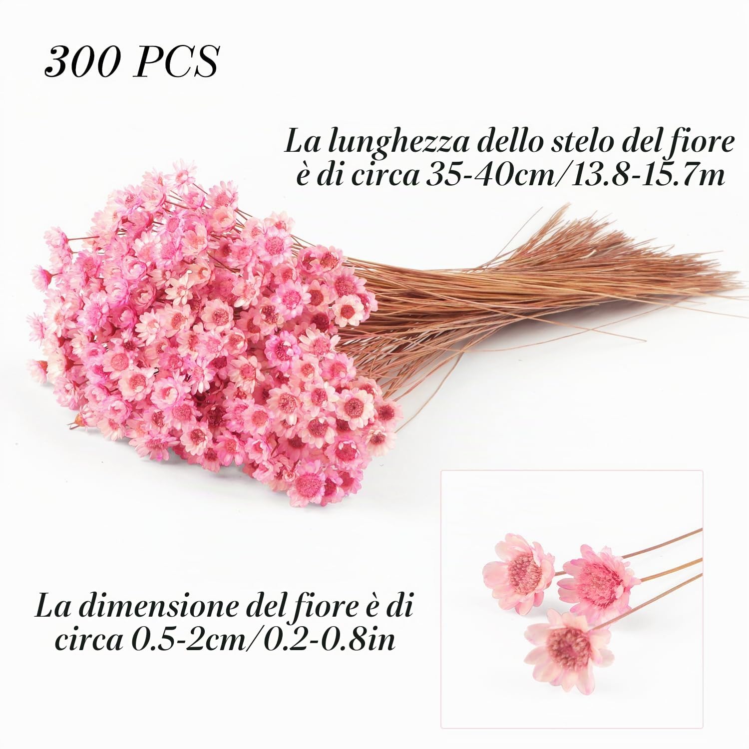 300 fiori secchi brasiliani piccoli fiori secchi decorativi rosa mini margherita essiccati bouquet di camomilla per vacanze decorazione festa fai da te casa matrimonio composizioni floreali secche