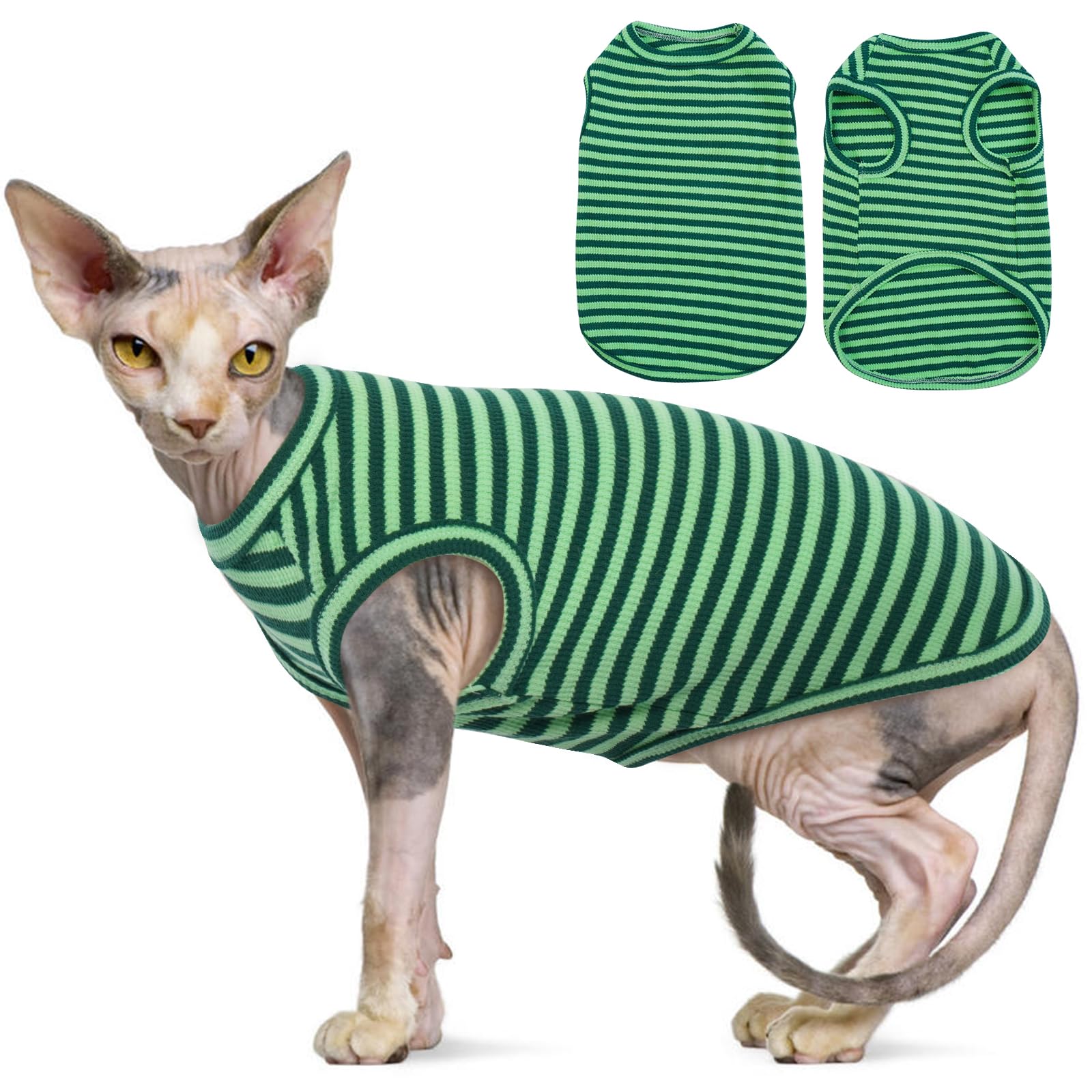 Pull-over respirant pour chat : évitez les irritations cutanées de votre Sphynx en été
