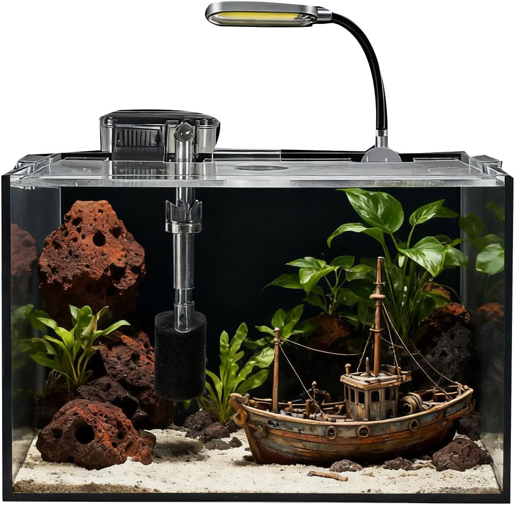2.5 Gallon Fish Tank Starter Kits, with Led Light, Filter Pump, Cover, Small Fish Tank Betta Aquarium (30x18x20CM)