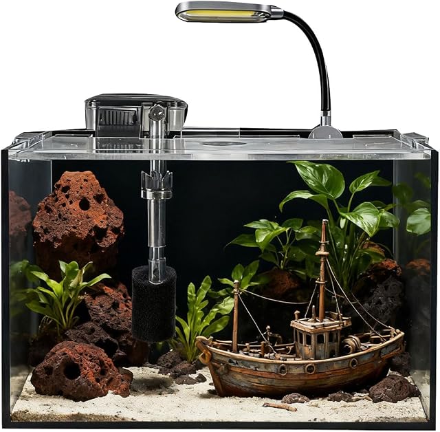 2.5 Gallon Fish Tank Starter Kits, with Led Light, Filter Pump, Cover, Small Fish Tank Betta Aquarium (30x18x20CM)