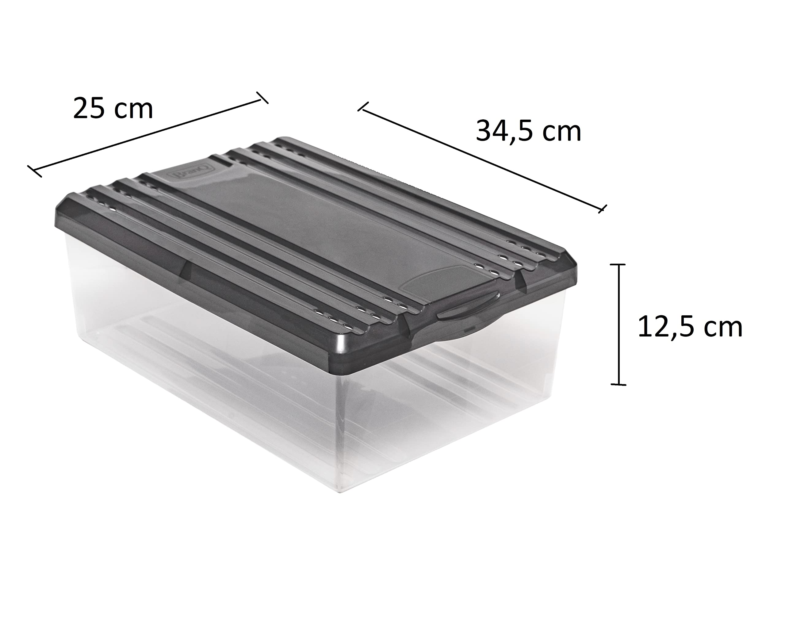 BranQ - Home essential Scarpiera Shoe Box con fori di ventilazione e coperchio, in plastica, 8 l, set da 3 pezzi