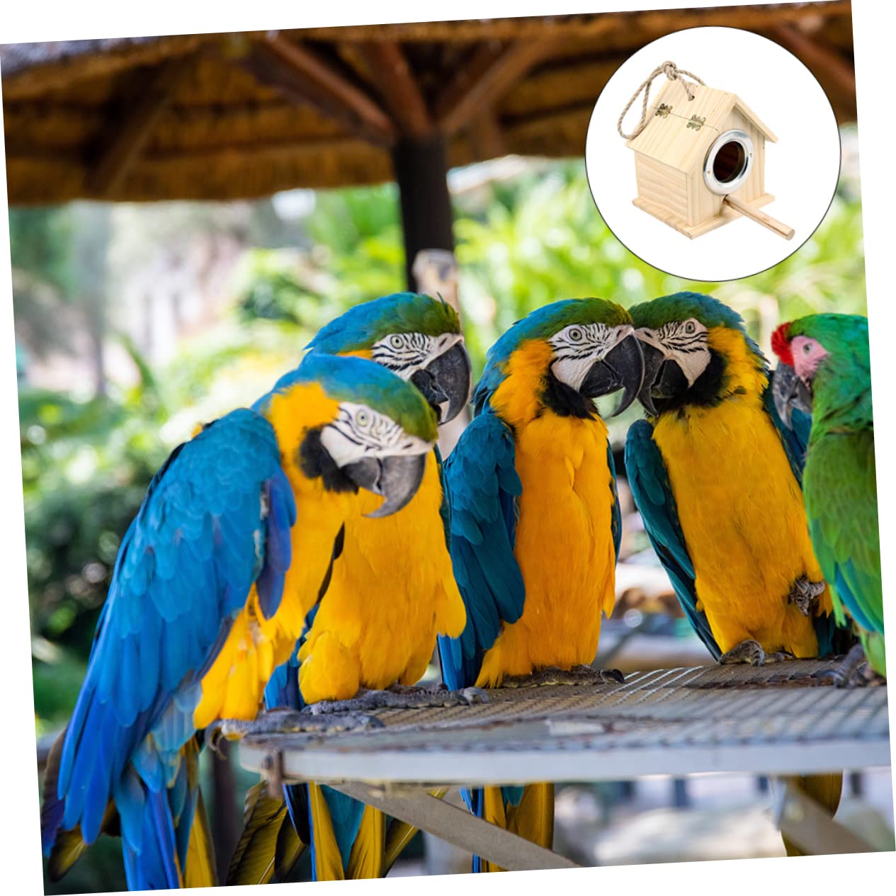 HANABASS Parrot Brutkasten aus Langlebigem Kiefernholz Vogel Nistkasten mit Einfachem Hausdesign als Brut und Nistplatz für Kleine Vögel Fördert Natürliche Balz und Brutverhalten