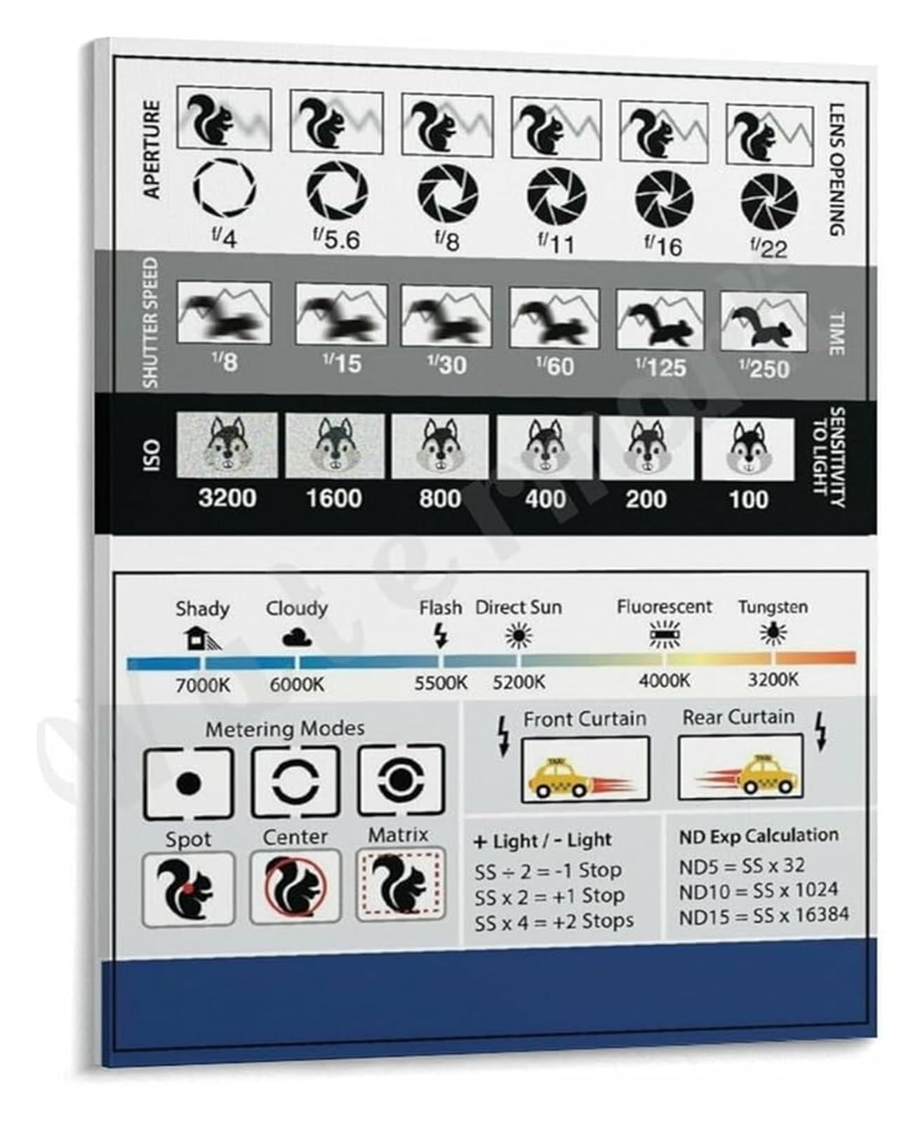 LLBOGRGGN Camera White Balance Poster DSLR Photography Cheat Sheet with Gray Card Reference Chart(Framed,12x18inch(30x45cm))