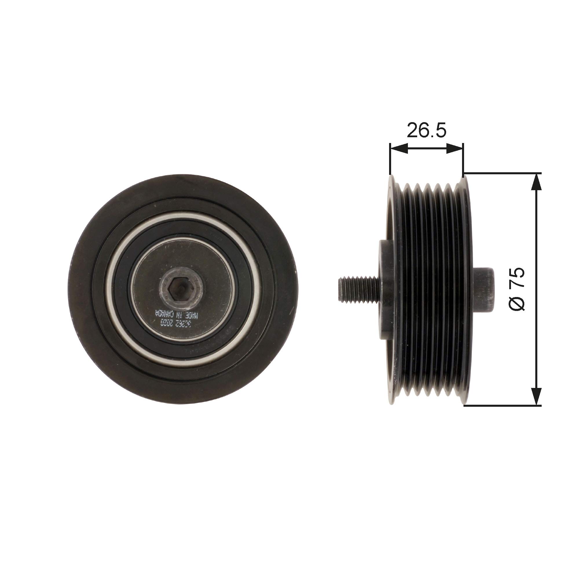 Gates T36262 Galoppino Guidacinghia Cinghia Poly-V Con Scanalature-image