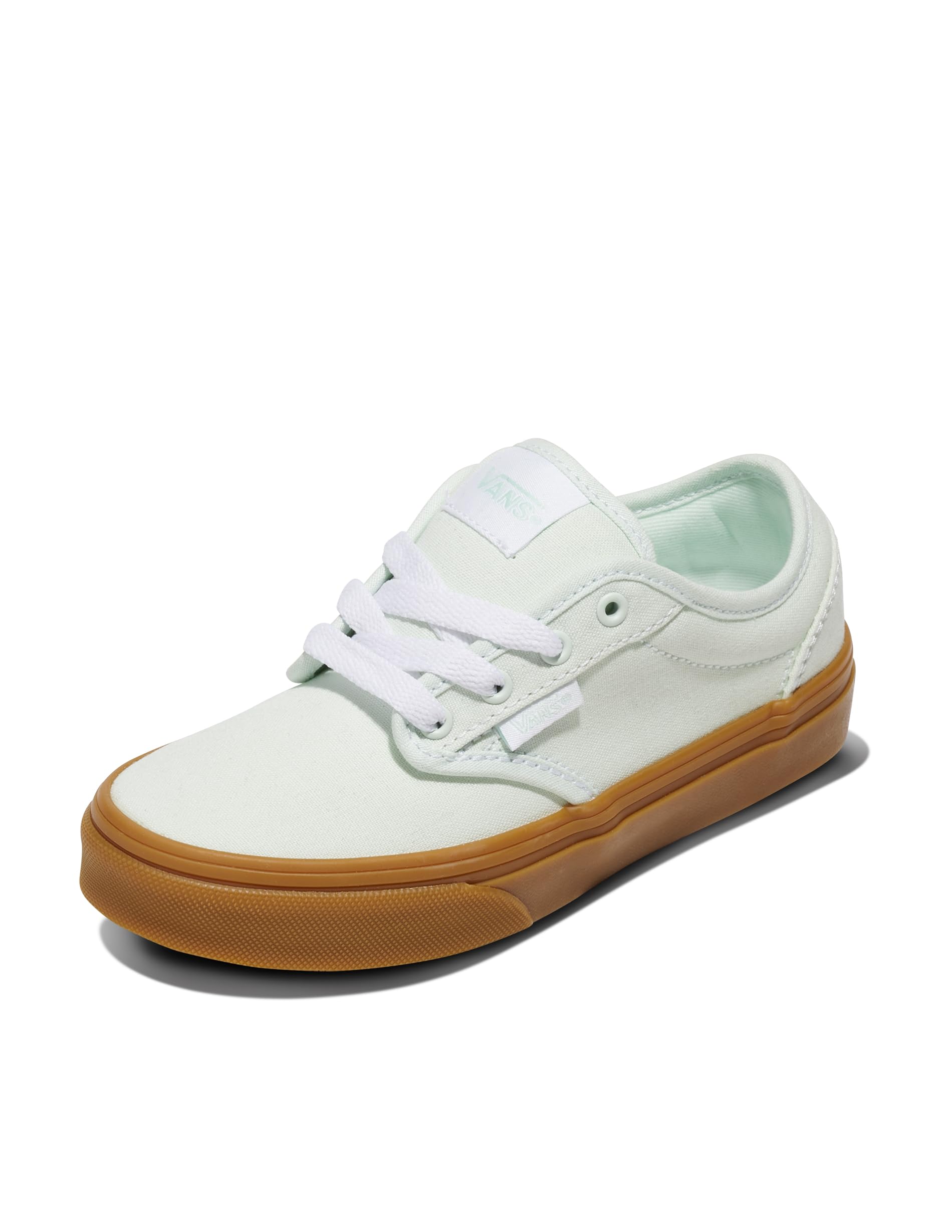 Vans Men's Atwood Low Top