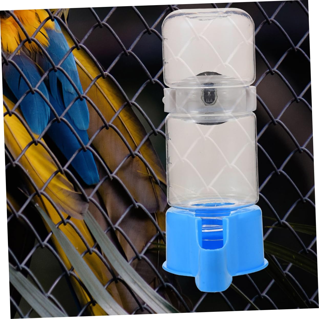 Sosoport 10 Pièces Cage À Oiseaux Accessoires D'Eau Abreuvoir À Oiseaux Automatique Perroquet Mangeoires D'Eau Calopsitte Récipient D'Eau Perroquet Fontaine D'Eau Fontaine
