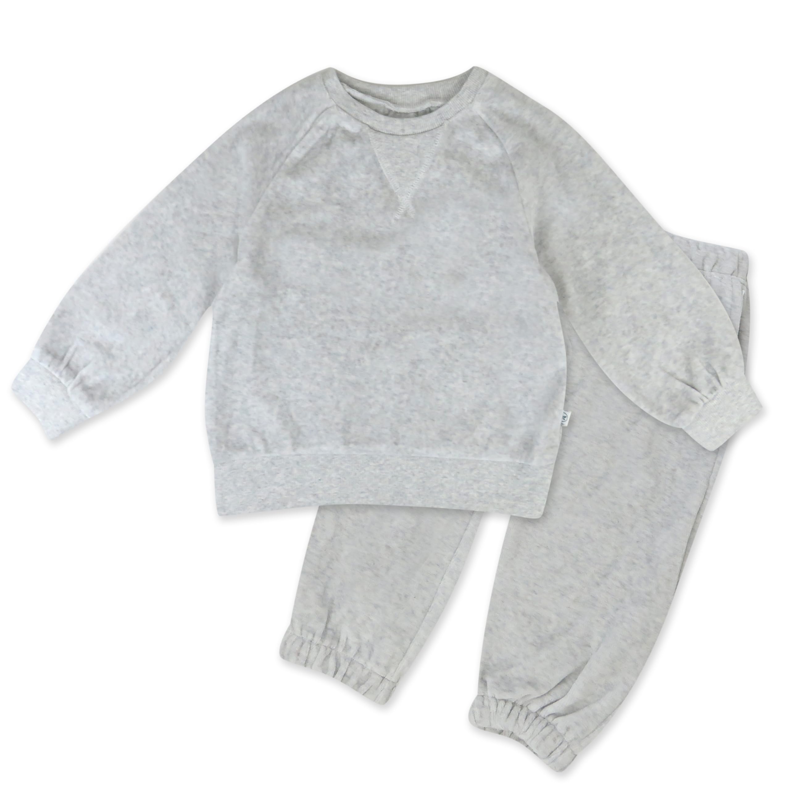 HonestBaby 2-Piece Cozy Velour Sweatshirt and Jogger Sweatpants Set 100% Organic Cotton for Toddler, Baby Boys, Girls, Sage, 6 Years