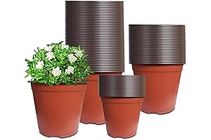 80 Pieces 6-Inch Leeky Seedling Nursery Pots for Indoor, Outdoor, Gardening, Yards, and Parks