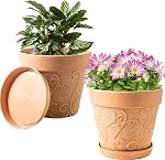 Pots de plantes à l'intérieur avec drainage & Sauceur, 2Pack 7 inch Pots de fleurs Planters extérieurs pour les plantes intérieures Jardin Maison Décor Cactus Succulent, forte imitation résine Terracotta, motif de vigne Embossé