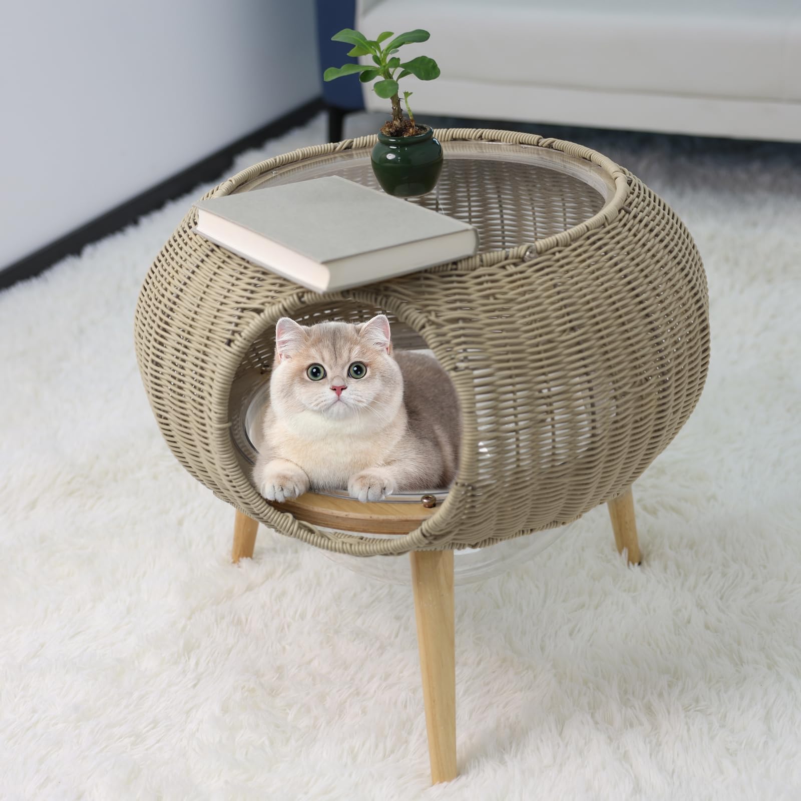 Amazon | Foreng 猫ハウス 猫家具 ペットハウス スツール 収納 Amazon | Foreng 猫ハウス 猫家具 ペットハウス スツール 収納