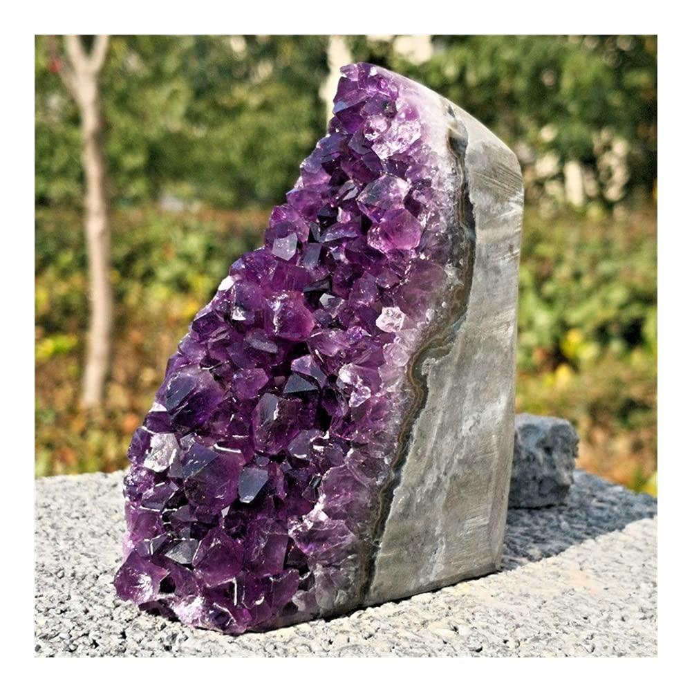 FUERLI Espécimen de Cristal de racimo de Cuarzo de geoda de Amatista Natural de artesanías de Piedra FZUGEDRLI (Size : 300g)