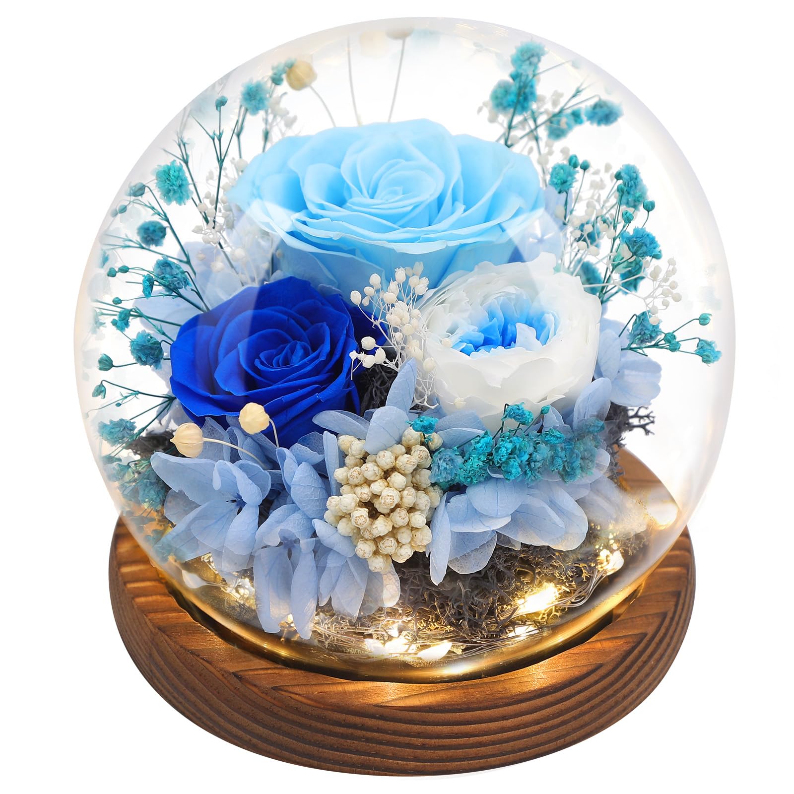 Eyesofspring Preserved Flowers,Rose in Glass Dome with LED Light, Gifts for Her, Women, Mom,Grandma,Girlfriend, Wife - Style6