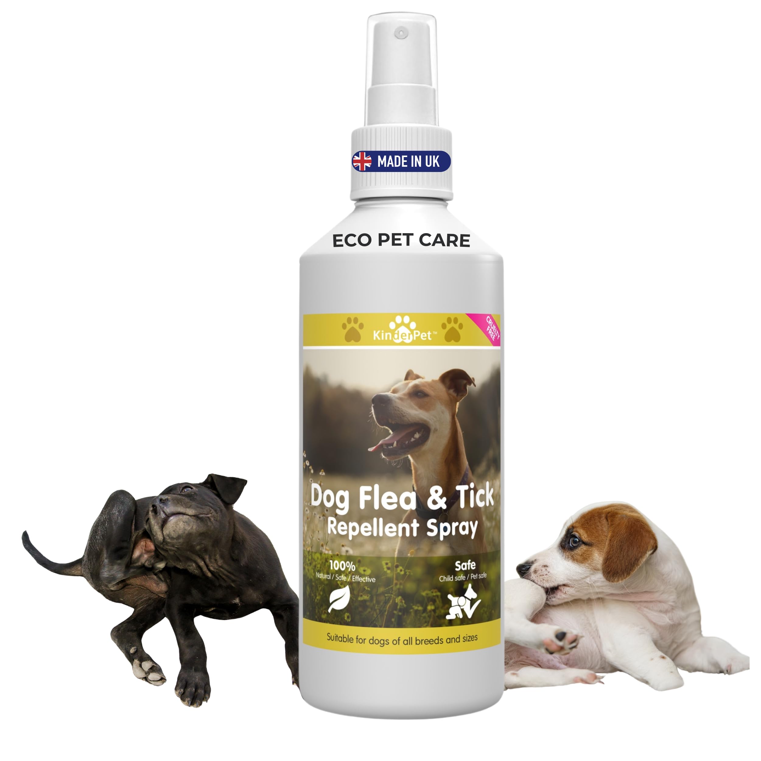 Eco Dog Flea Treatment Big Value 250ml Tick Lice Mite Control Spray Kill Fleas and Eggs For The Home Safe Natural Effective Made in The UK