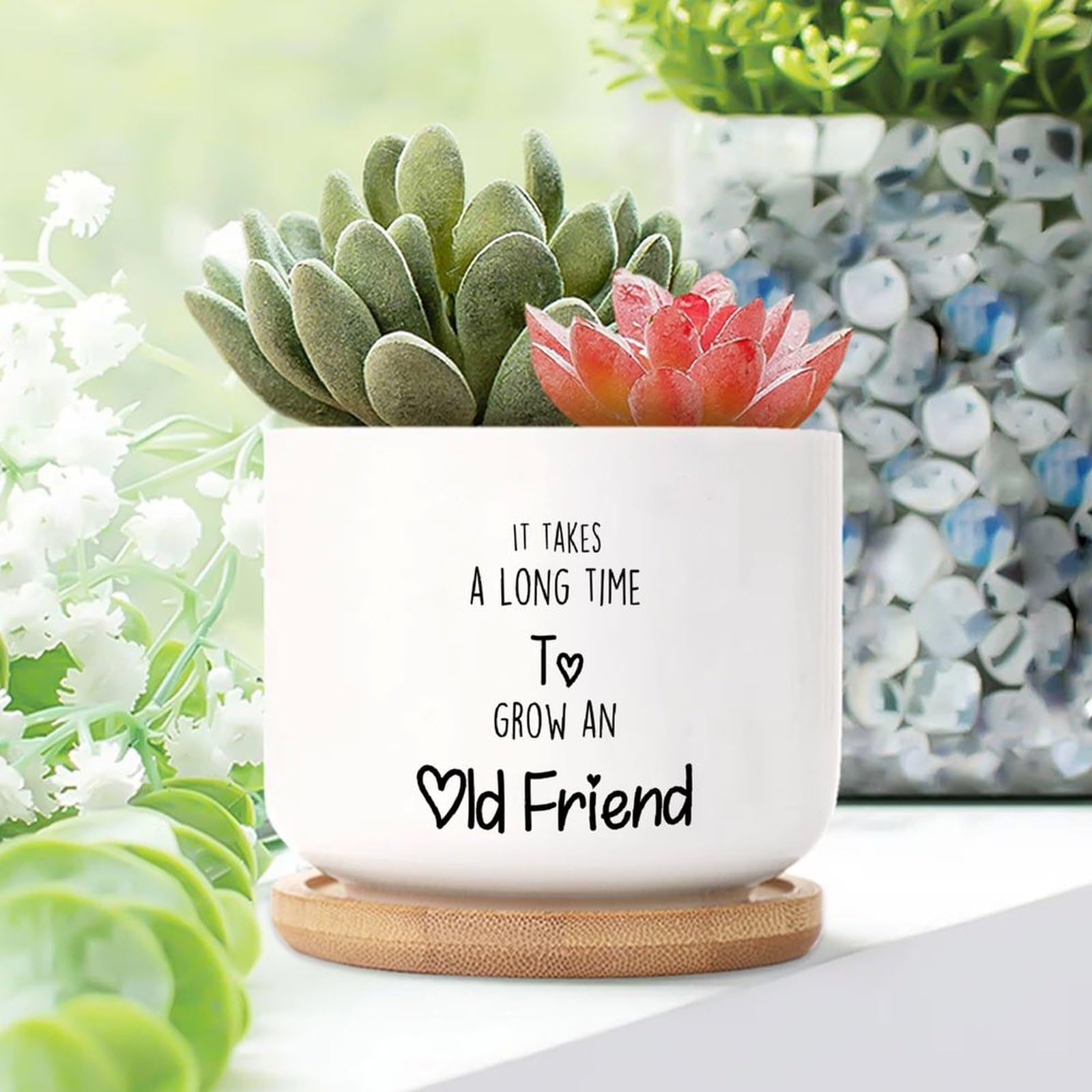 Yelolyio It Takes A Long Time to Grow An Old Friends Planters Ceramic Saying Quotes Round Flower Pots With Drainage Holes And Bamboo Tray Pot For Home Office Decoration