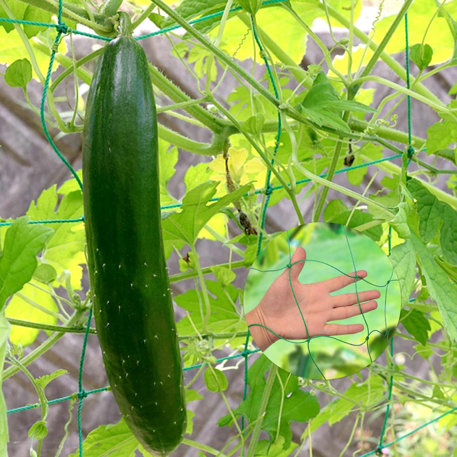 Rete per cetrioli 5 m x 1,8 m, rete a traliccio per giardino, rete per