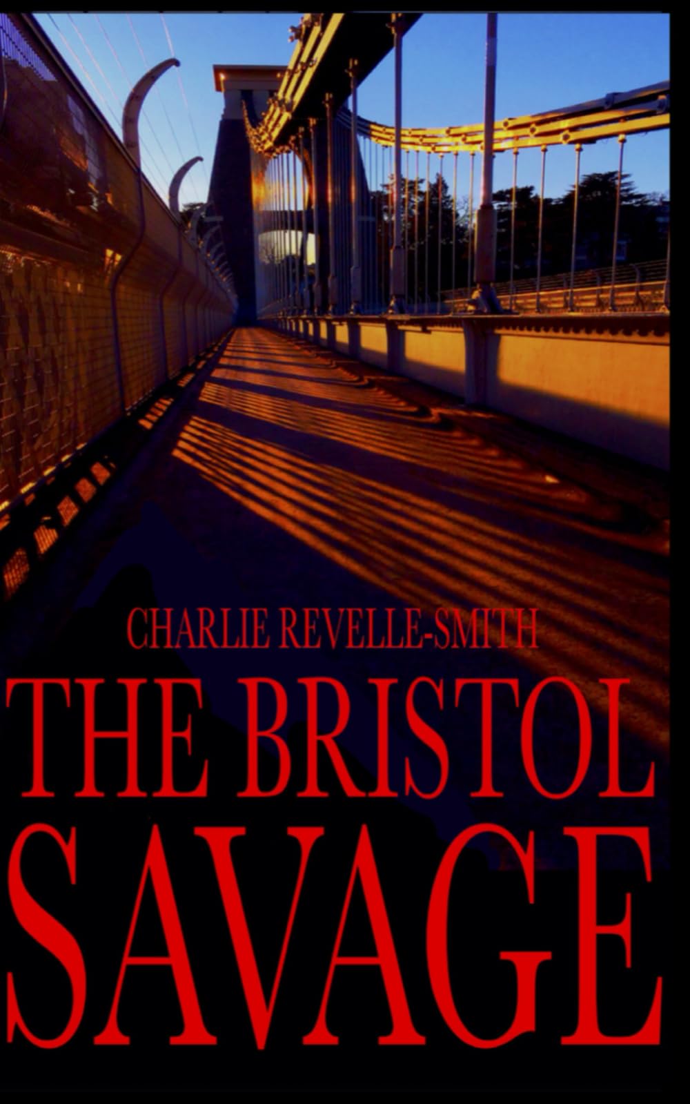 The Bristol Savage (The Bristol Murders)