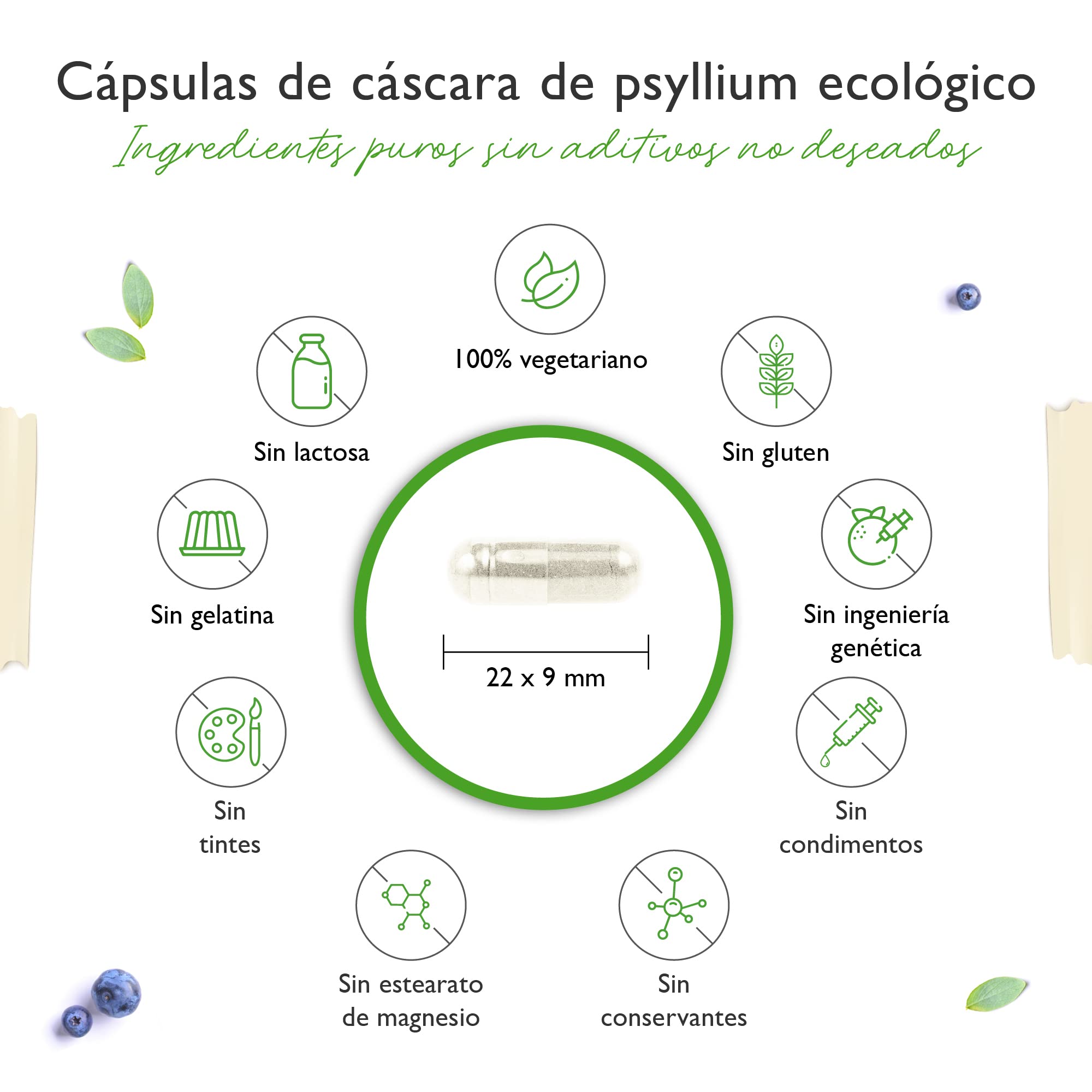 Cáscaras de psyllium orgánico - 365 cápsulas veganas - 3000 mg por dosis diaria - Premium: 100% psyllium orgánico de la India, 99+% de pureza, finamente molido - Cultivado de forma sostenible