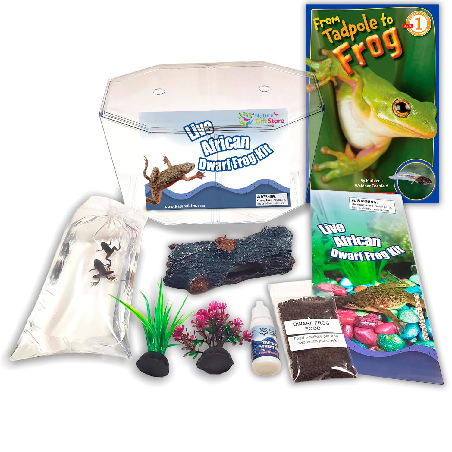 African Dwarf Frog Starter Kit- Includes Certificate for 2 Live Frogs- All-in-One Bundle with Book, Small Aquarium, Food, Instructions Now