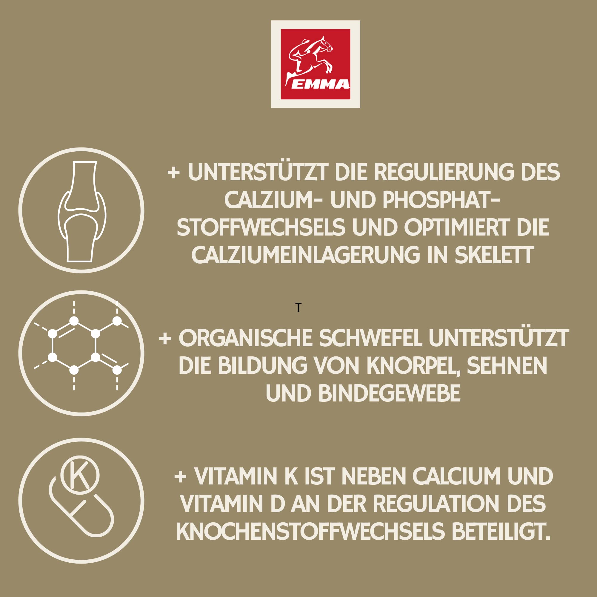EMMA MSM proszek dla koni 3 kg – wysoka dawka organicznej siarki I MSM proszek do stawów z witaminą C D i wapniem I drożdże piwne I wsparcie dla stawów, chrząstek, ścięgien, więzadeł, kości, dla