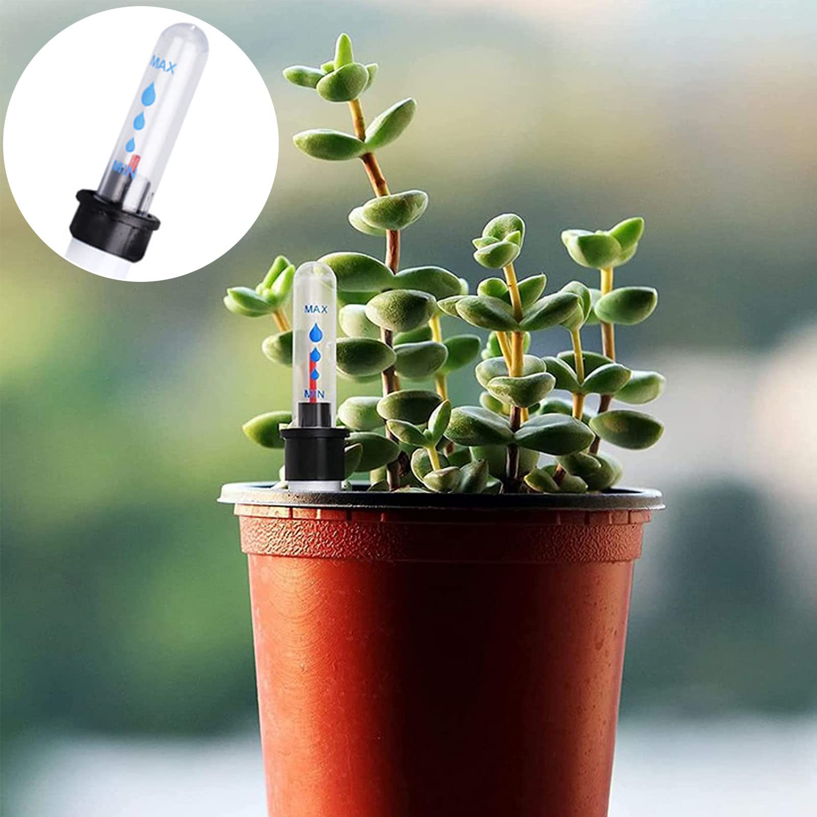 Zimmerpflanzen Wasserstandsanzeiger Praktische 4 PCS Hydrokultur Pflanzen  GieAnzeiger Der Gieanzeiger fr Pflanzen Wasserstandsanzeiger  Blumenkasten Hydrokultur Perfekt fr Hobbygrtner Blumenksten : Amazon.de:  Garten
