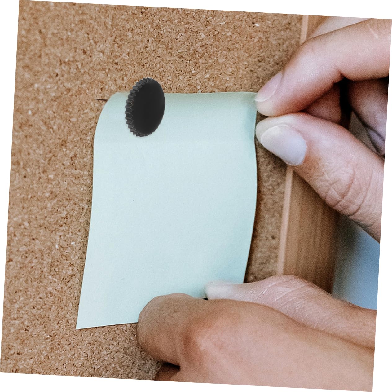 Artibetter 800piezas Chinchetas Transparentes para Tablero De Corcho Push Pins De Plástico para Oficina y Fáciles De Usar y Almacenar