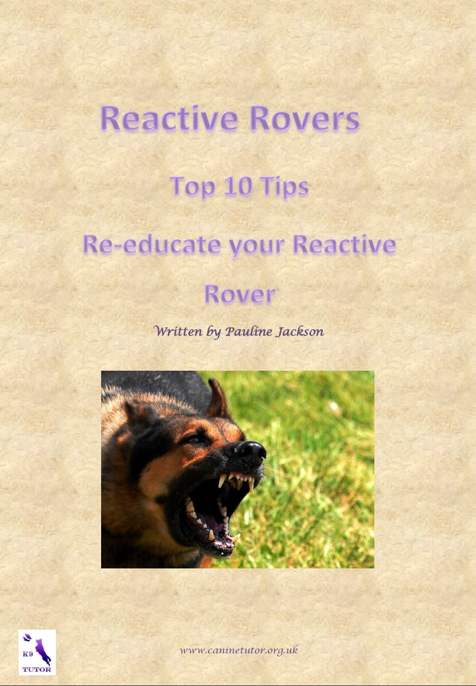 Reactive Rovers Top Ten Tips: Re-educate your Reactive Rover - Kindle ...