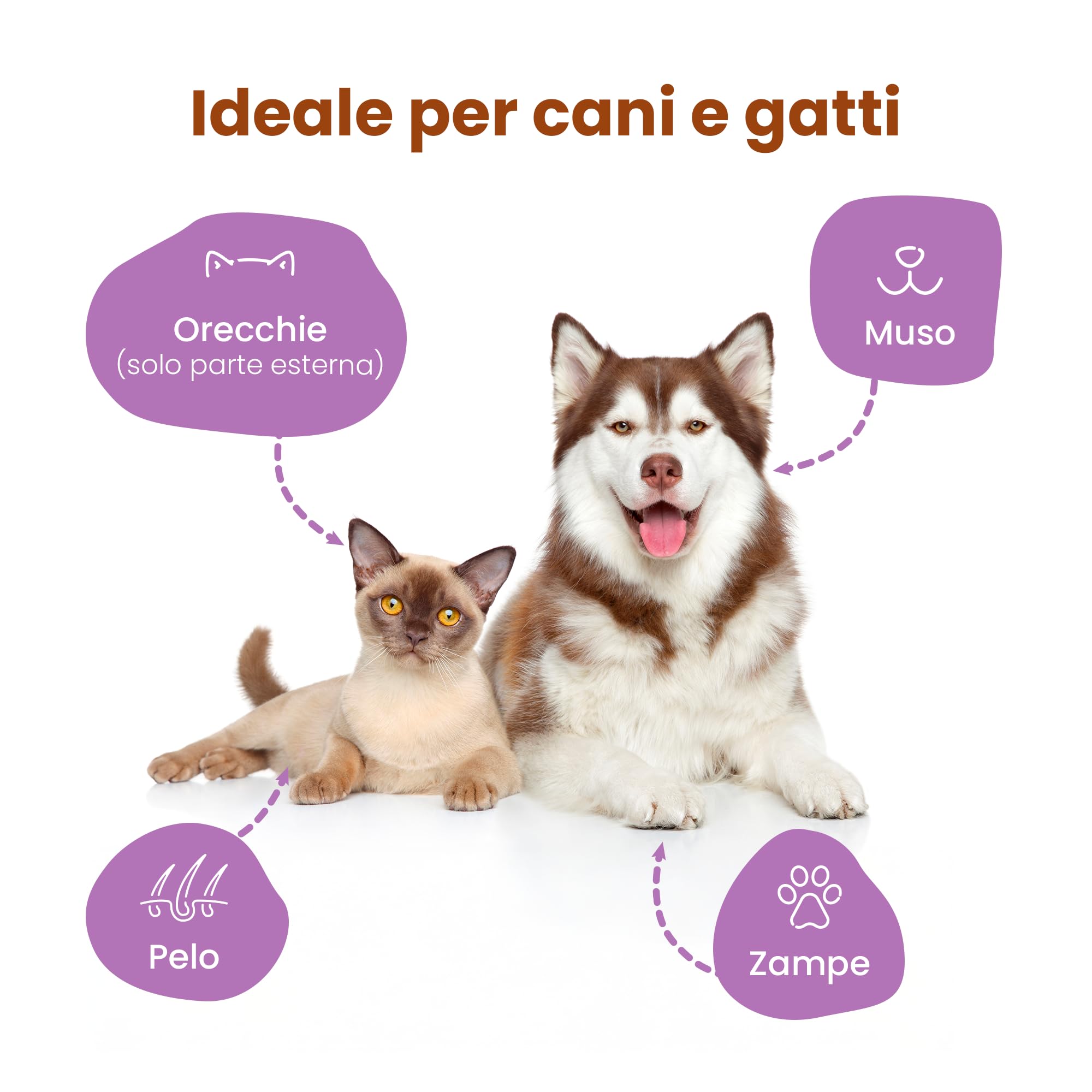 CAMON | Salviette Detergenti per Cani e Gatti, 30x17 cm, Confezione da 100 Pezzi, Fragranza Latte e Miele, Senza Alcool etilico né Parabeni, Made in Italy, Il Pacchetto può variare