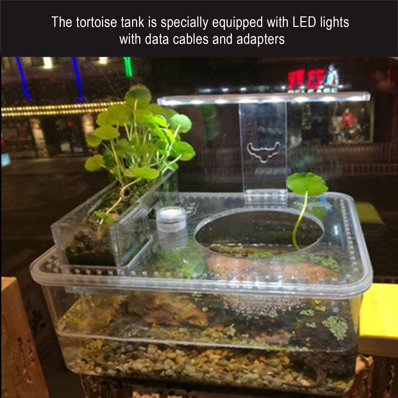Terrarios para Reptiles con luz LED, pequeña pecera de Escritorio sin Cambio de Agua, Caja de cría, terrario Transparente para Reptiles, para Reptiles Vivos, dragón Barbudo, Iguana