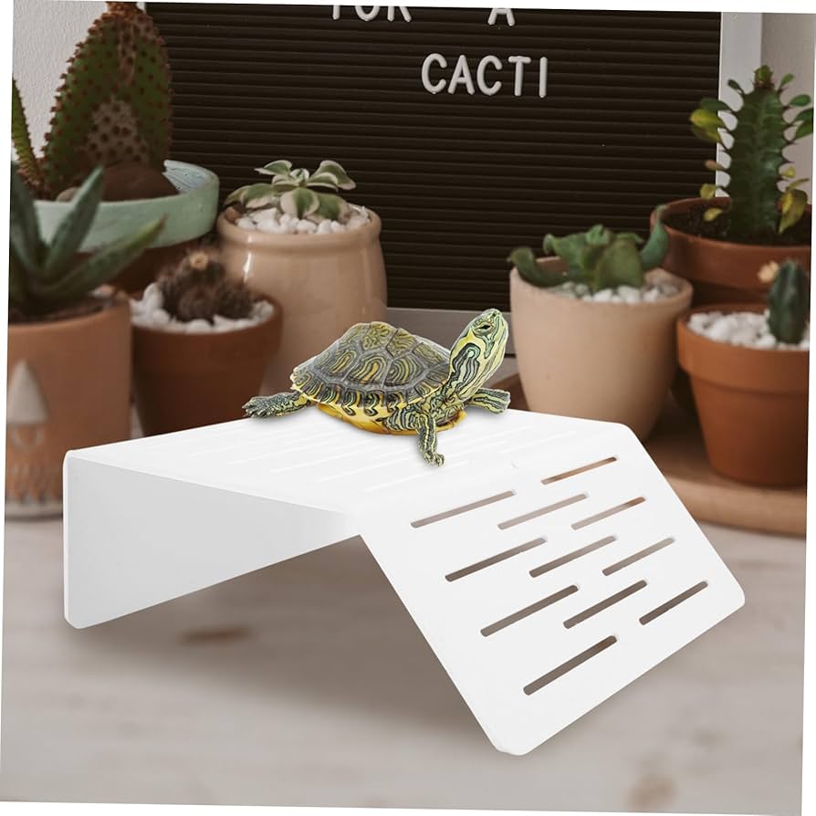 Amazon | VORCOOL 爬虫類用バスキングプラットフォーム カメ用