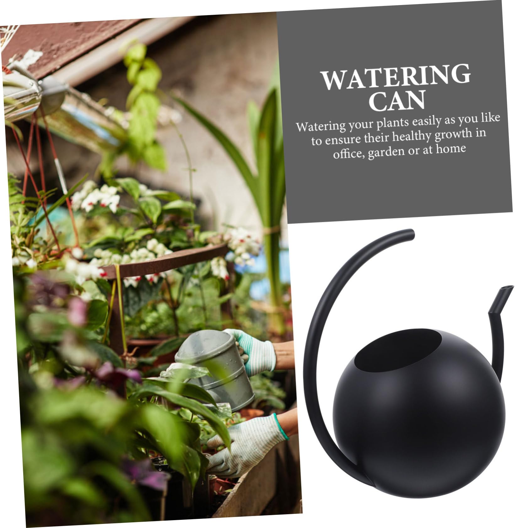 Arrosoir Simple 1l en Acier Inoxydable Noir pour Plantes et Maison