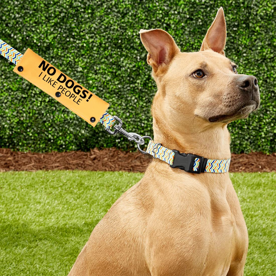 PWHAOO No Dogs/No People Correa Wrap Give Me Space - Correa para perro de rescate (sin mangas para perros como personas)
