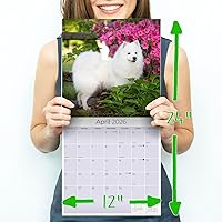 Vista 8 de Razas de Perros 2017