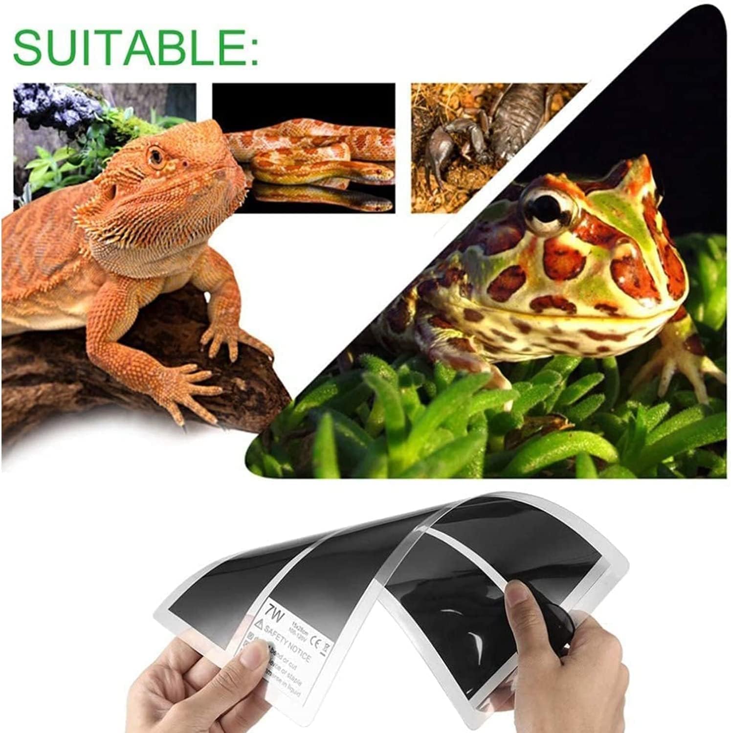 Reptile Heat Mat Reptile Heating Pad With Thermostat, Safety Adjustable Reptile Heat Mat For Turtle, Waterproof Reptile Heat Pad Under Tank Terrarium With Temperature Control ( Size : 28W 53*28cm )
