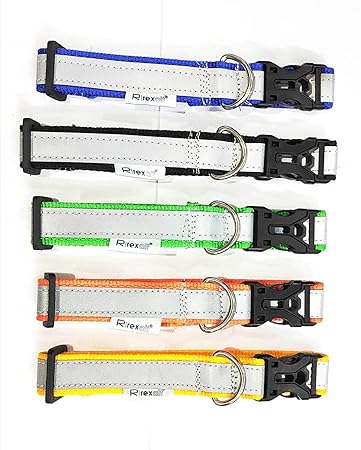 Reflective Dog Collar 1