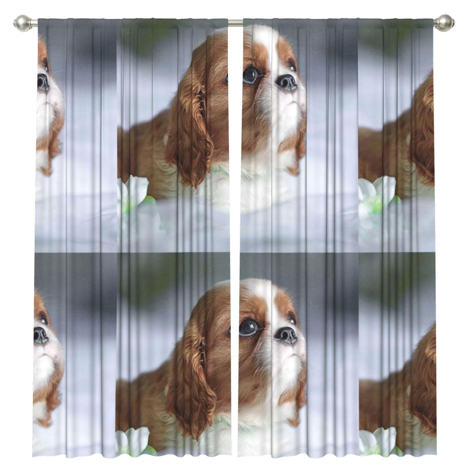 InOmak Cavalier King Charles Spaniel Face, 2 Panels Window Curtains 52 x 84 Inch Blackout Curtains for Living Room Bedroom
