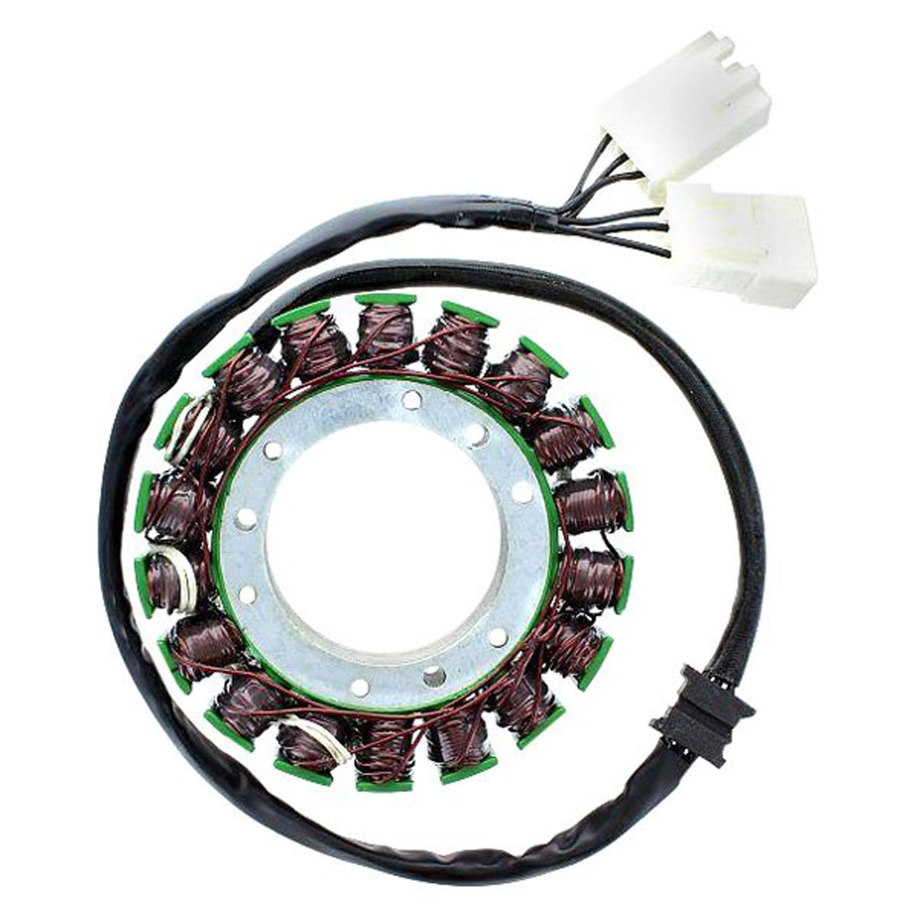 アクセサリー e-motion Amazon | Electrosport Industries ESG441 ステーター | バイク