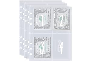 AIERSA 100 Envelopes Money Savings Challenge A5 Binder Inserts Self Adhesive Pre-labeled...
