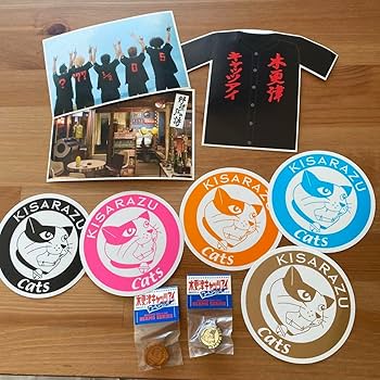 Amazon.co.jp: 木更津キャッツアイ グッズ 10点セット ステッカー