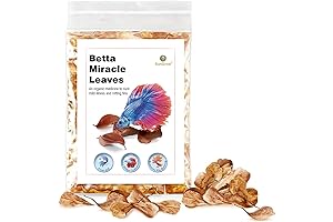 SunGrow Catappa Indian Almond Leaves (50 pcs) for Betta Fish, Aquarium Water Conditioner