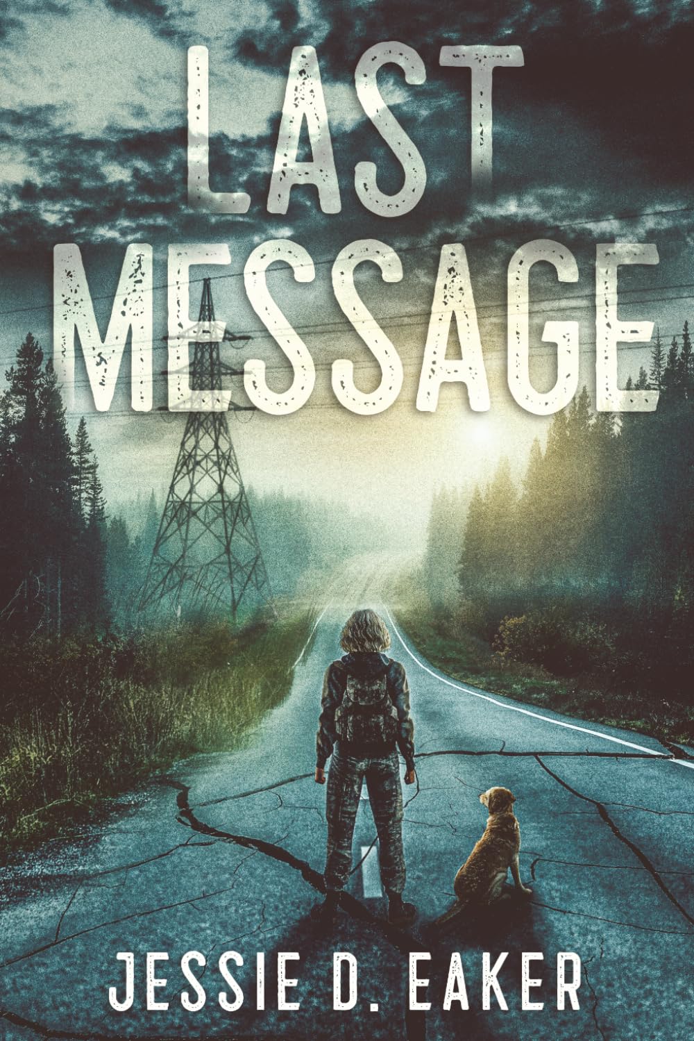 Last Message: A Post-Apocalyptic Survival Romance: 2 (Remaining Things)