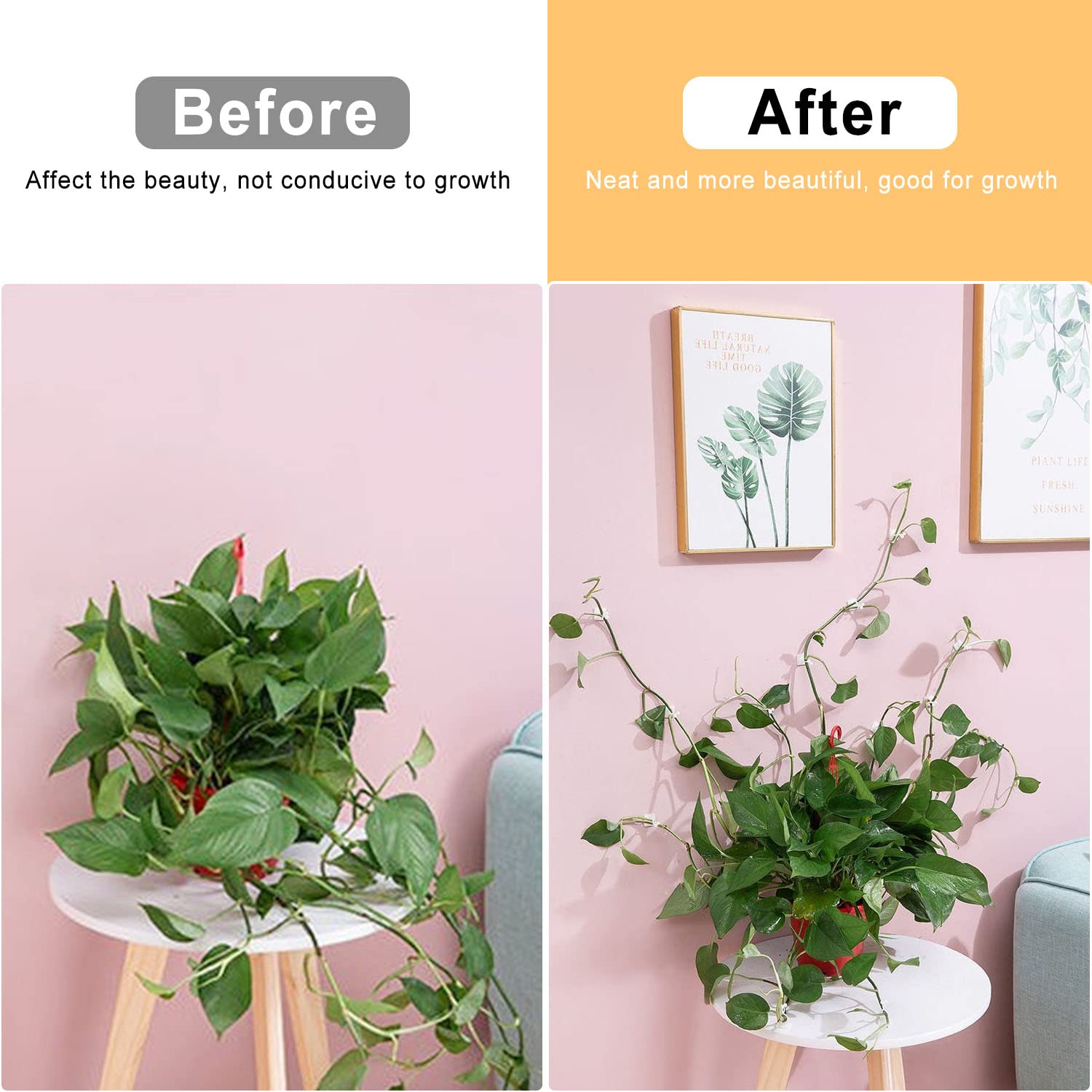 Set Di 100 Clip Fisse Per Piante, Stelo Di Orchidea, Supporto Per Vite - Foto 2