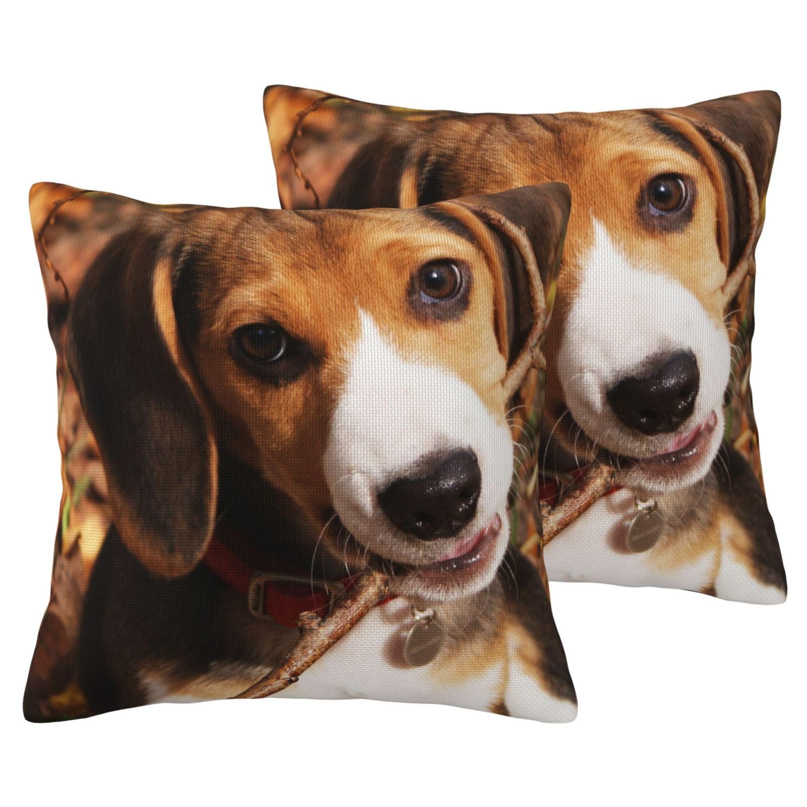 Housse de coussin beagle mignon lot de 2 taies effet lin cadeau pour amoureux de chiens