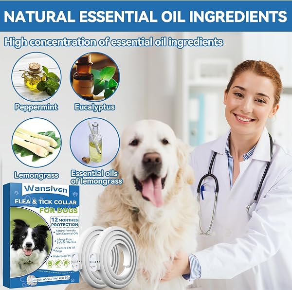 Wansiven Collare antipulci per cani, collare antipulci regolabile con oli essenziali, protezione 12 mesi, 65 cm - 3