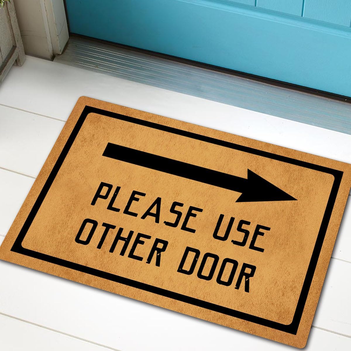 Funny Welcome Indoor Door Mats for Entrance Way Home Decor Area Rugs Please USE Other Door Personalized Kitchen Rugs with Anti-Slip Rubber Back Novelty Gift Mat(23.7 X 15.9 in)