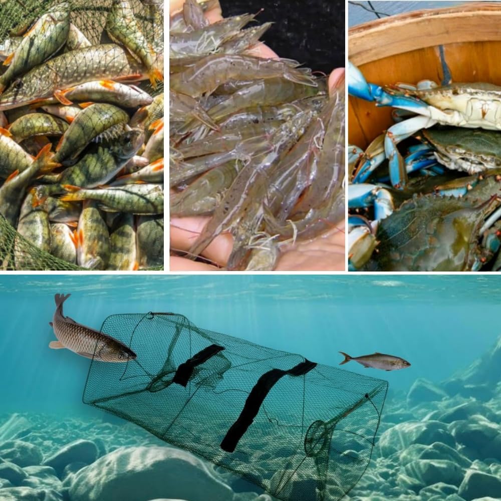 Trappola Da Pesca Pieghevole - 4 Pezzi, Per Gamberi, Granchi E Pesciolini, Con Sacchetto Per Esca