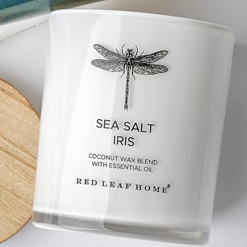 Miniatura 3 de Red Leaf Home Vela en tarro de sal marina e iris con tapa de madera, grande, aromaterapia, colección de insectos vintage, 15.5 onzas