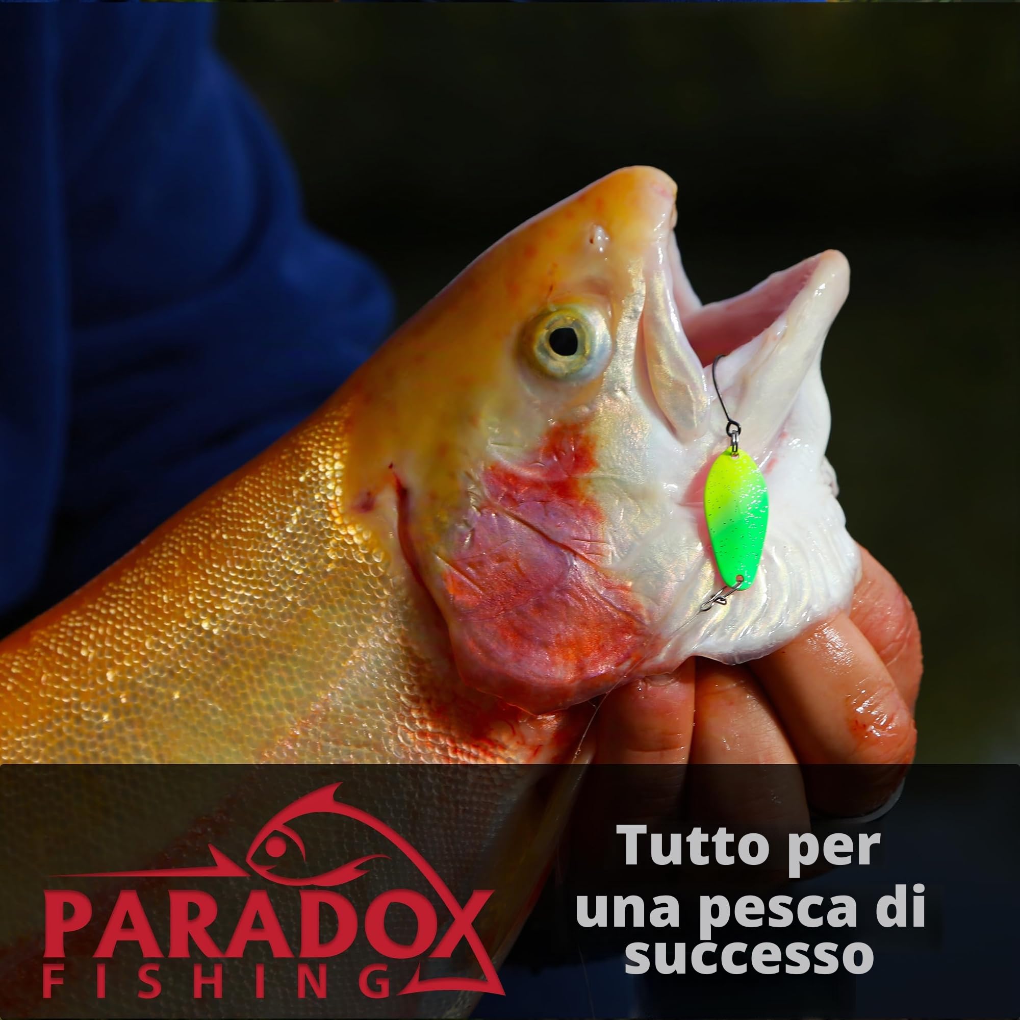 Paradox Fishing Set di esche per trote e trote, con scatola, per trote, pesca, trote, trote, spoon trote