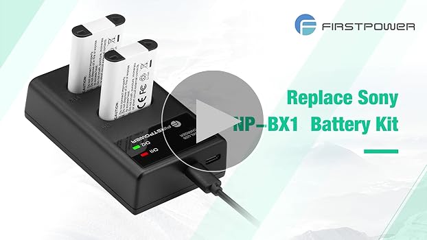 Amazon.com : FirstPower NP-BX1 Battery 2-Pack and Dual USB