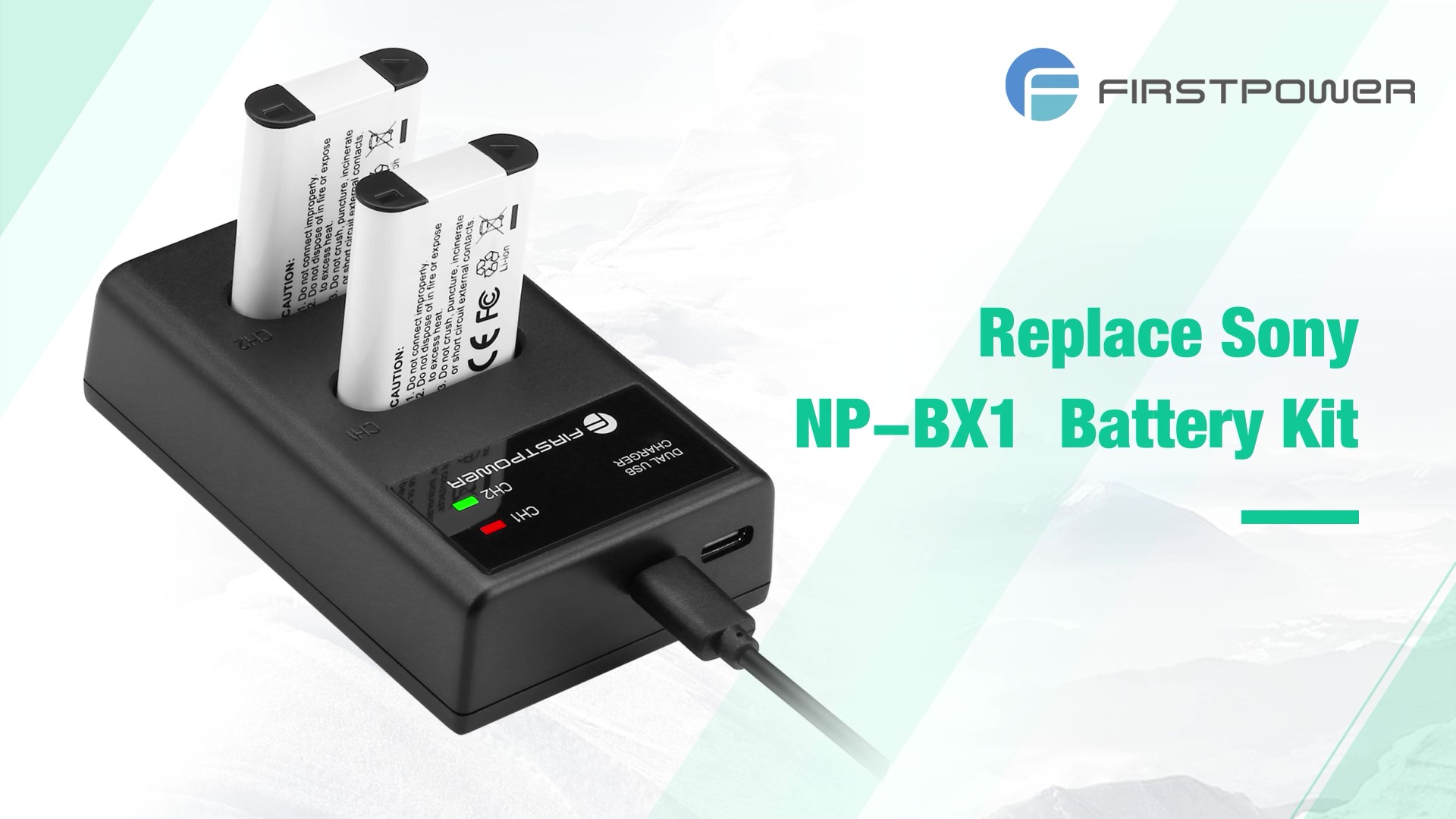 Amazon.com : FirstPower NP-BX1 Battery 2-Pack and Dual USB